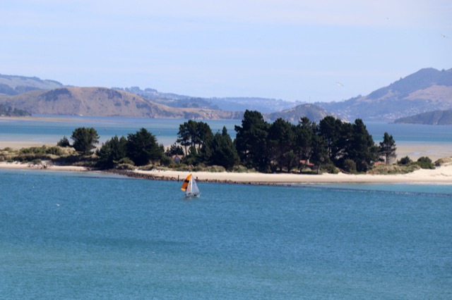 Pilots Beach coastline, home to penguins and other wildlife